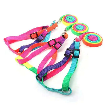 120cm Nylon Rainbow Pet Dog Collar Harness Leash Soft Walking Harness Lead Colorful and Durable Traction Ropes All Seasons