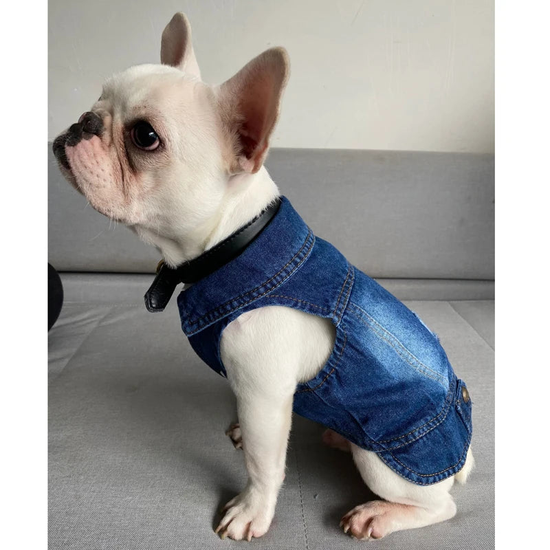 Wholesale Dog Jeans Jacket Denim Vest Coat Sleeveless Design Spring Autumn Clothes for Small Medium Dogs Bulldog York Costume
