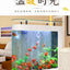 Small and medium-sized ultra-white glass hot bending tank bullet large screen ecological goldfish tank aquarium