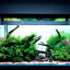 Customized Different Size Fish Tank Coral LED Aquarium fresh water plant fish light for tank