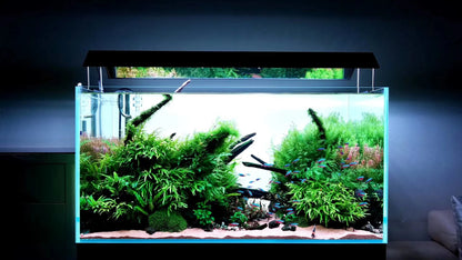 Customized Different Size Fish Tank Coral LED Aquarium fresh water plant fish light for tank