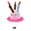 Pet Dog Happy Birthday Cat Hat with Candles Lovely Puppy Costume Headwear Festival Celebrate Pet Dog Accessories Wholesale