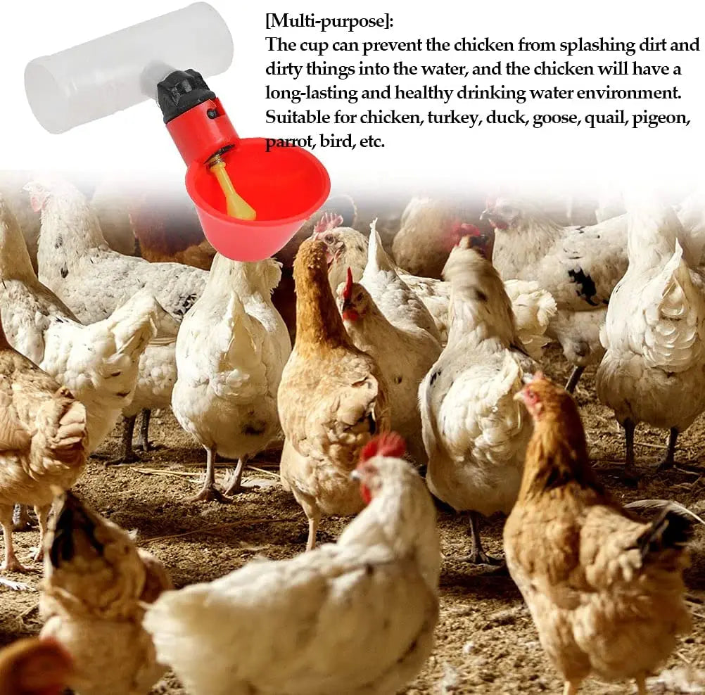 10 Sets Automatic Poultry Drinking Cups Chicken Tapping Waterer Drinker  and Chicken Waterer PVC Tee Fittings Chicken Feeder