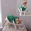Solid Color Cat Clothes Winter Soft Kitten Sweater Sphinx Cat Fleece Vest Jacket for Small Medium Cats