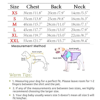Lightweight Dog Jacket Pet Down Jacket Coat Autumn Dog Clothes for Small Medium Dogs Chihuahua Yorkie Bulldog Dachshund Clothing