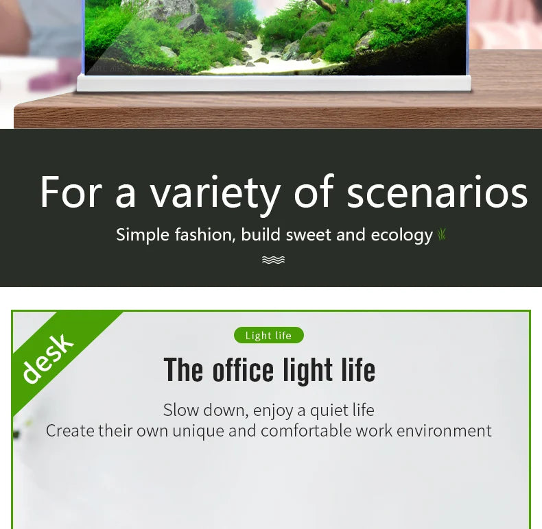 High Quality Small Breeder Box Fish Tank Aquarium Fish Tank Sale Intelligent small fish tank