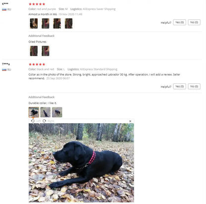 Wide Dog Collar Strong Nylon Rope Woven Limited Slip P Chain Collar for Medium Large Dogs German Shepherd Pit Bull Rottweiler