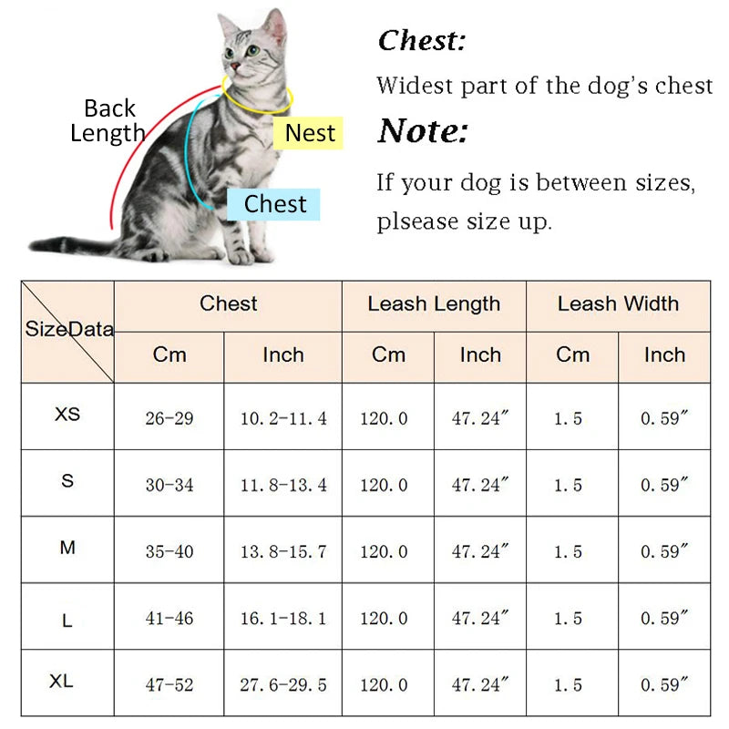 Reflective Pet Cat Harness and Leash Set for Cats Gotas Sphynx Harnesses Walking Dog Leash mascotas Accesorios szelki dla kota