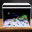 High Quality Small Breeder Box Fish Tank Aquarium Fish Tank Sale Intelligent small fish tank