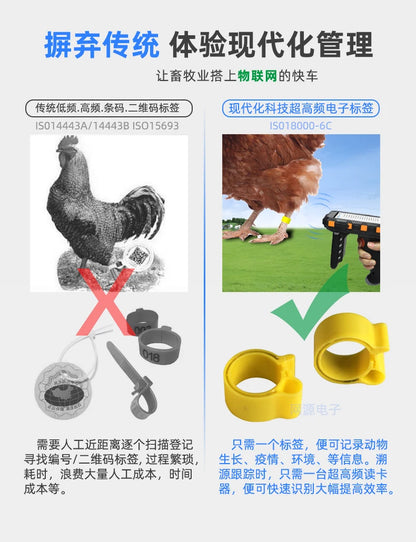 10 pcs of Rfid Electronic Tag Chicken Duck Goose Pigeon Bird Foot Ring  Chip Induction Foot Tag Poultry Breeding Management