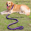 130cm Pet Dog Leash Double Row Adjustable Pet Collar Nylon Leash Double Colors Canvas For Medium Large Dogs Accessoires Hot-Sale