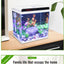 High Quality Small Breeder Box Fish Tank Aquarium Fish Tank Sale Intelligent small fish tank