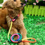 1Pcs Rainbow Nylon Dog Leash Training Dog  Personalized Leash Lead Strap Collar 130cm High Quality Dog Harness Color Randomly