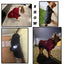 Reflective Pet Clothes Autumn Winter Pet Dog Waterproof Warm Coat Cotton Hooded Jacket The Dog Face Small Dog Clothes