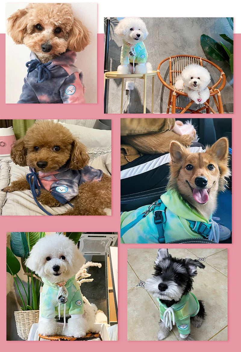 Fashion Dog Cat Hoodie Sweater Winter Pet Clothes for Small Dogs Pomeranian French Bulldog Pullovers mascotas Costume Clothing