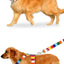 Rainbow Color Pet Dogs Collar Harness Set 120cm Puppy Leash Outdoor Walking Exercise Dogs Supplies PU Anti-Escape Cat Collars
