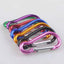 1Pcs Portable Travel Collapsible Dog Pet Folding Silicone Bowl For Pet Feeder Puppy Food Container Feeder Dish Bowl With buckle