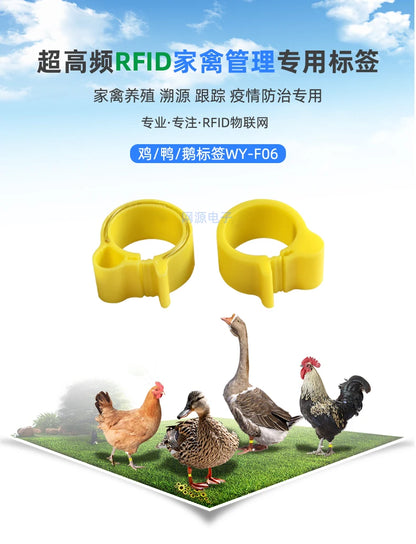 10 pcs of Rfid Electronic Tag Chicken Duck Goose Pigeon Bird Foot Ring  Chip Induction Foot Tag Poultry Breeding Management