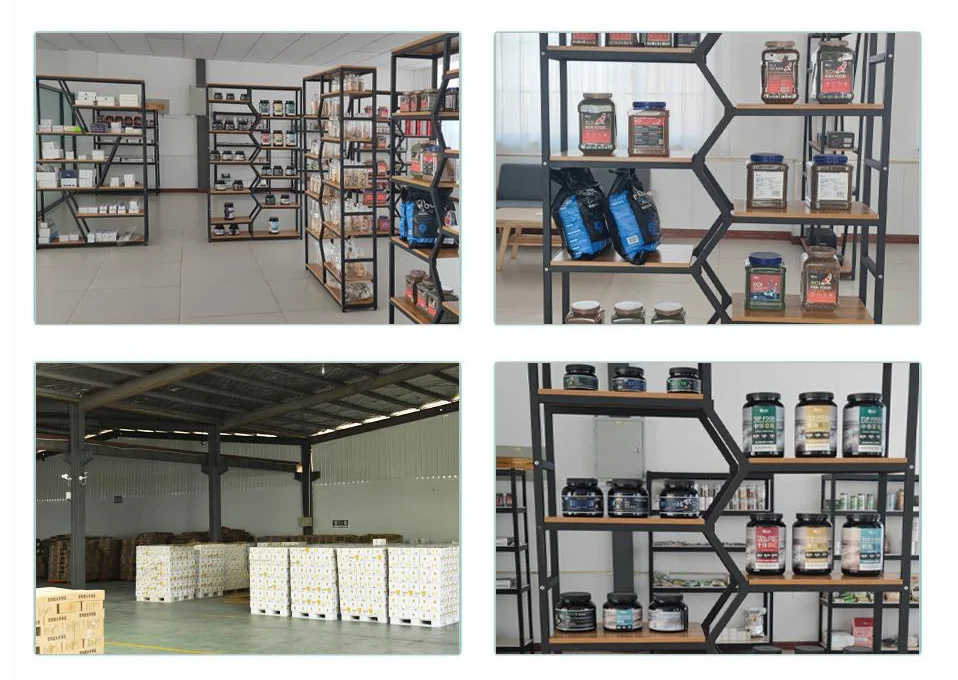 YEE Hot Sale New Chinese Style  Multi Color Home Office Middle Large  Glass Aquarium Fish Tank