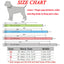 Custom Pet Name Dog Collar Luxury Rhinestone Letter Adjustable Personalized Blingbling Leather Dog Cat Collar Small Medium Dogs