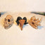 Aquarium Ornaments Decoration Resin Rhinoceros Horned Skull Goat-Head Shape Fish Tank Spider Scorpion Lizard Aquariums Shelter