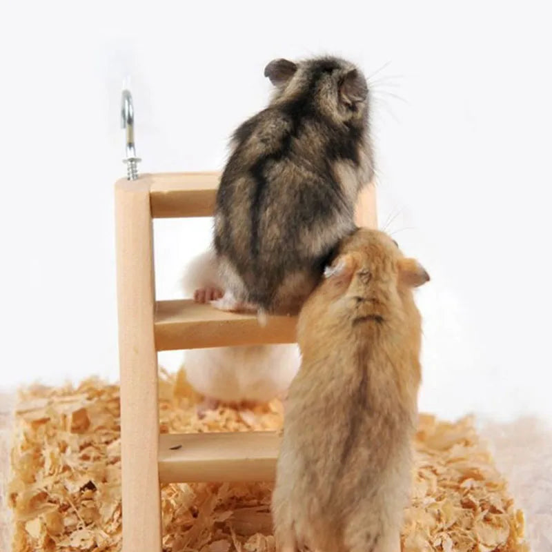 Hamster Natural Wooden House Hamster Climbing Toy Small Pet Toys for Hamster Squirrel Guinea Pig Rat Small Animals Accessories