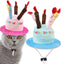 Pet Dog Happy Birthday Cat Hat with Candles Lovely Puppy Costume Headwear Festival Celebrate Pet Dog Accessories Wholesale