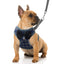 Plaid Dog Harness and Leash Set for Small Medium Dogs Cats Puppy French Bulldog Pet Bowtie Tuxedo Vest Harness