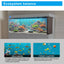 Wholesale Hight Quality Large Size Aquarium Fish Tank