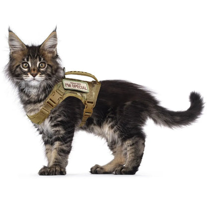 Nylon Tactical Cat Harness Chest Pectoral Collar Adjustable Suit for Puppy Animals Dog Pet Accessories Supplies Luxury