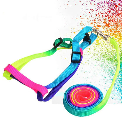 120cm Nylon Rainbow Pet Dog Collar Harness Leash Soft Walking Harness Lead Colorful and Durable Traction Ropes All Seasons
