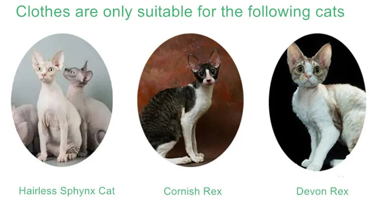 Solid Color Cat Clothes Winter Soft Kitten Sweater Sphinx Cat Fleece Vest Jacket for Small Medium Cats