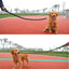 Super Strong Nylon Dog Harness Leash For Large Dogs Leads Pet Training Walking Safety Mountain Climb Ropes Dog Leashes Products