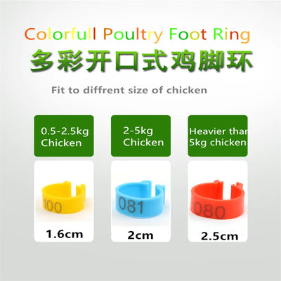 100Pcs Plastic 1.6/2.0cm Quail Bird Chicken Hen Pigeon  Poultry Chicks Duck Parrot Foot Clip Rings Mark Sign
