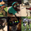 Adjustable Padded Dog Sunglasses Goggles Collapsible Pet Accessories for Medium Dogs Motorcycle Glasses suministros para perros