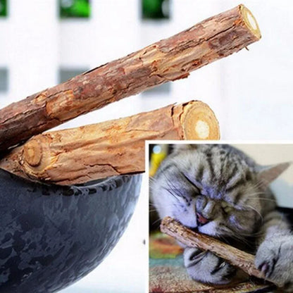 4pcs/Lot Pure Natural Catnip Stick Pet Toys For Cats Molar Toothpaste Branch Cleaning Teeth Silvervine Cat Snacks Sticks