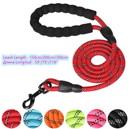 Reflective Leash