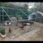 Customized Large Chicken Shed Outdoor Steel Pipe Construction Breeding Shed Duck Shed Simple Large Chicken Cage