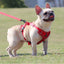 Dog Harness Leash Set Adjustable Pet Harness Vest For Small Large Dog Cat Reflective Mesh Puppy Cat Chest Strap Dog Accessories