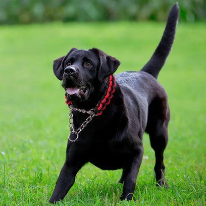 Wide Dog Collar Strong Nylon Rope Woven Limited Slip P Chain Collar for Medium Large Dogs German Shepherd Pit Bull Rottweiler