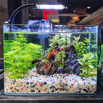 50/100g Natural Crystals Gravel Stone Micro Landscape Garden Aquarium Decor Fish Tank Bottom Sand Potted Plants DIY Accessories