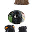 Lion Shaped Cosplay Hat for Cat Black Designer Pet Dog Accessories Winter Christmas Costume Kitten Head Wear Puppy Pet Supplies