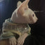Reflective Pet Cat Harness and Leash Set for Cats Gotas Sphynx Harnesses Walking Dog Leash mascotas Accesorios szelki dla kota