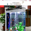 Small and medium-sized ultra-white glass hot bending tank bullet large screen ecological goldfish tank aquarium