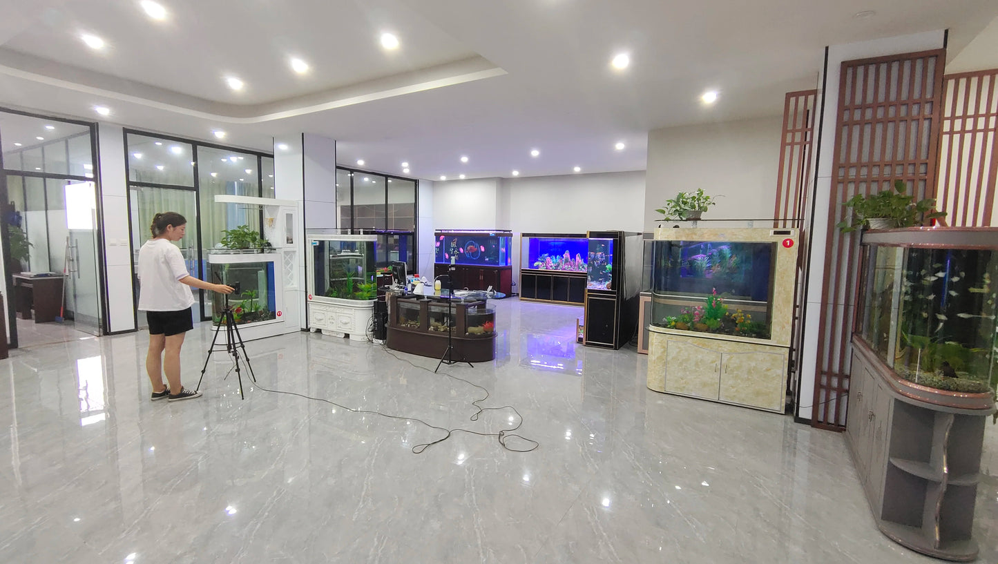 High Quality Small Breeder Box Fish Tank Aquarium Fish Tank Sale Intelligent small fish tank
