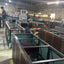Big Aquarium Decoration Large Glass Fish Tank Transparent Big Fish Tank