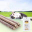 4pcs/Lot Pure Natural Catnip Stick Pet Toys For Cats Molar Toothpaste Branch Cleaning Teeth Silvervine Cat Snacks Sticks
