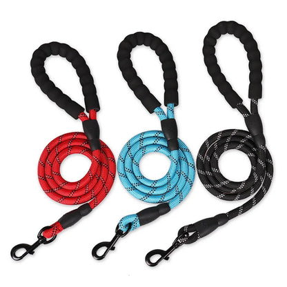 Reflective Leash