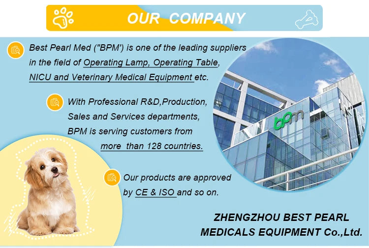 BPM-KC4V Animal Cages with Wheels Movable Dog Cat Used ICU Stainless Steel Veterinary Cage