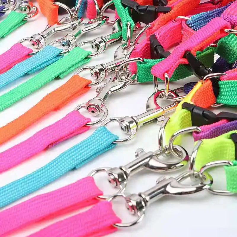 120cm Nylon Rainbow Pet Dog Collar Harness Leash Soft Walking Harness Lead Colorful and Durable Traction Ropes All Seasons